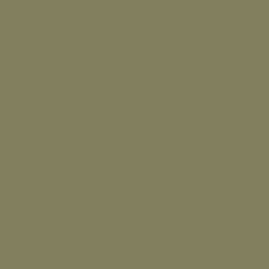 Colorama Hintergrundkarton - Leaf