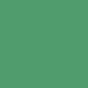 cr164 Colorama Hintergrundkarton - Apple Green