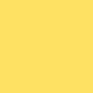 cr116 Colorama Hintergrundkarton - Dandelion