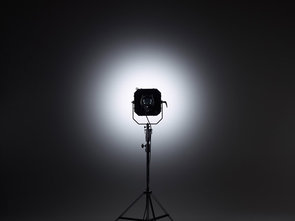 Elinchrom Fresnel Spot FS 30, inkl. ProTec Trolley Rollkoffer