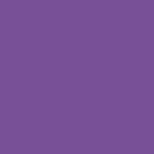 cr192 Colorama Hintergrundkarton - Royal Purple